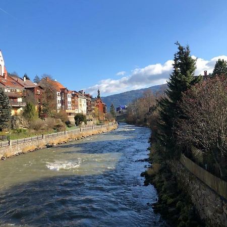 Appartement Witrich Apartman à Murau Extérieur photo